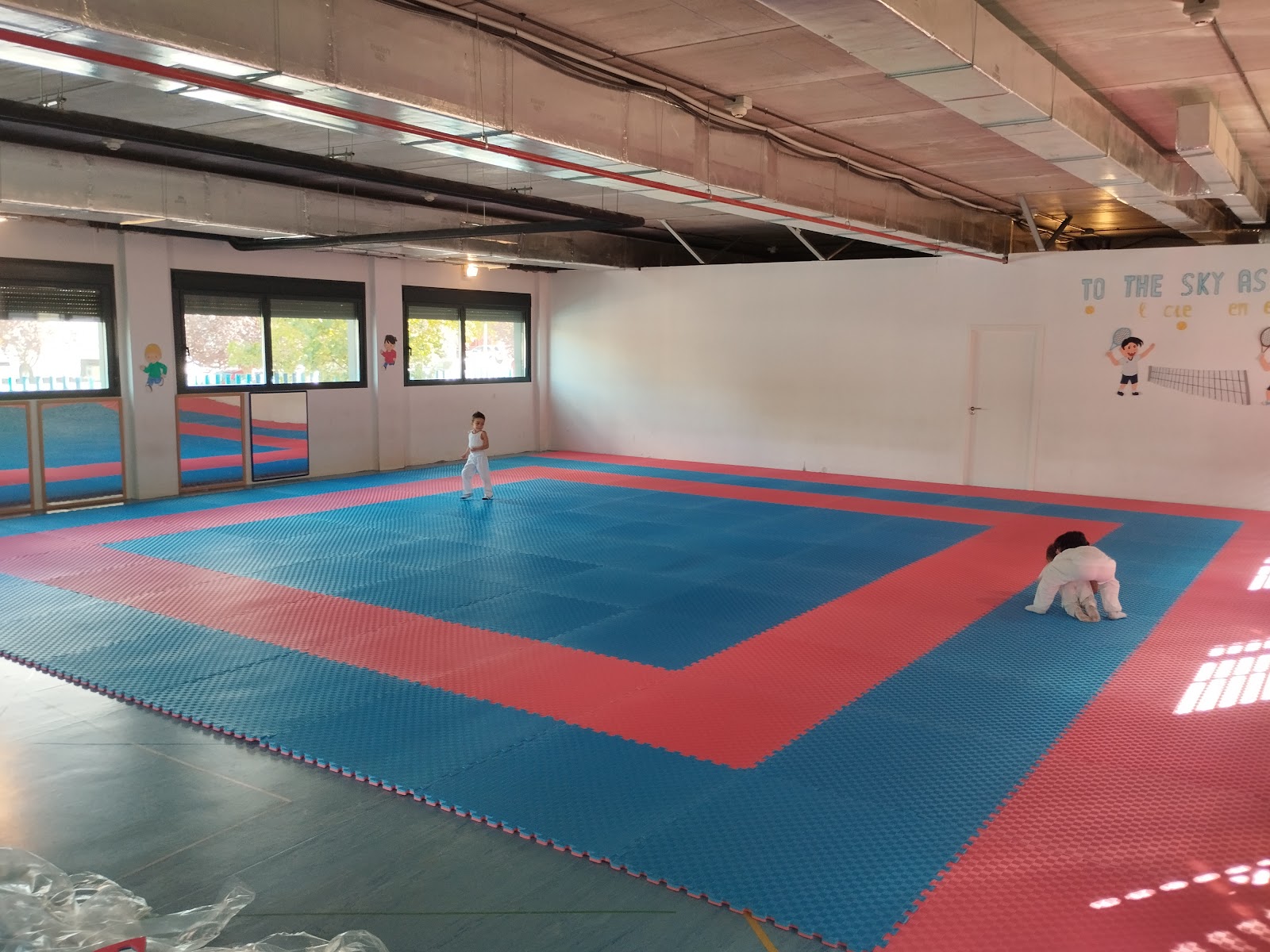 Gym Nisseishi Illescas