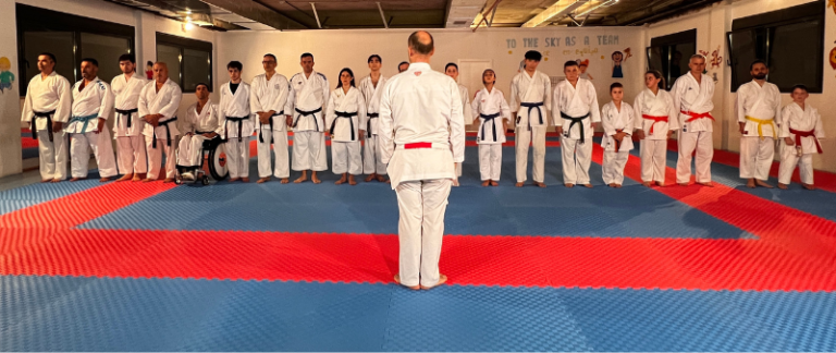 Karate Nisseishi