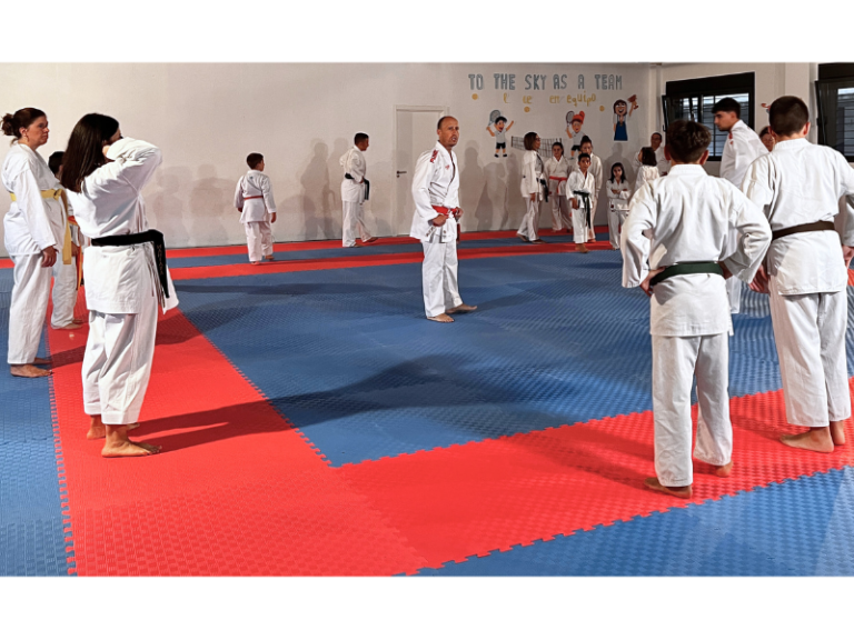 Karate Nisseishi